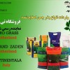 بذرچمن ، بذرچمن شهرداری 09199762163