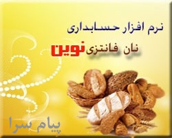 نرم افزار حسابداري نان فانتزي