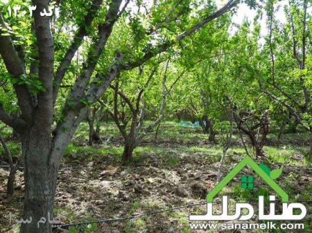 فروش باغ در شهریار مجموعه ویلایی کد1303
