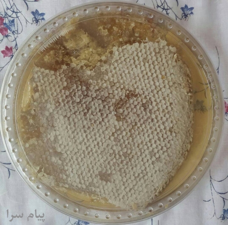 فروش عمده عسل کندو