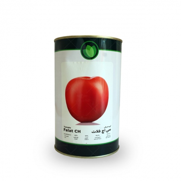 فروش بذر گوجه فرنگی سی اچ فلات