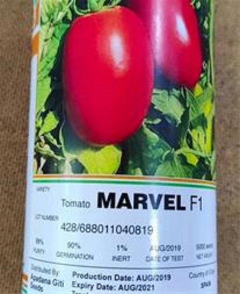قیمت بذر گوجه هیبرید مارول