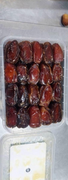 فروش عمده خرما