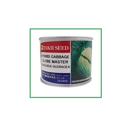 فروش بذر کلم پیچ GLOBE MASTER تاکی