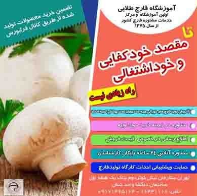 آموزش پرورش قارچ خوراکی، صدفی و گانودرما