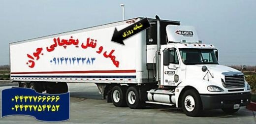 حمل و نقل و باربری یخچالداران قم