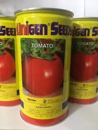 فروش بذر گوجه فرنگی یونیژن