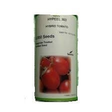 توزیع بذر گوجه فرنگی بذر گوجه هایپیل سمینیس