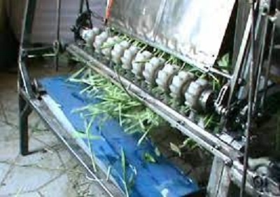 عرضه و فروش دستگاه آسیاب علوفه