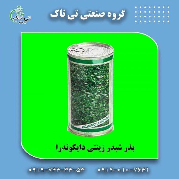 بذر شبدر دایکوندرا ، چمن زینتی 09199762163