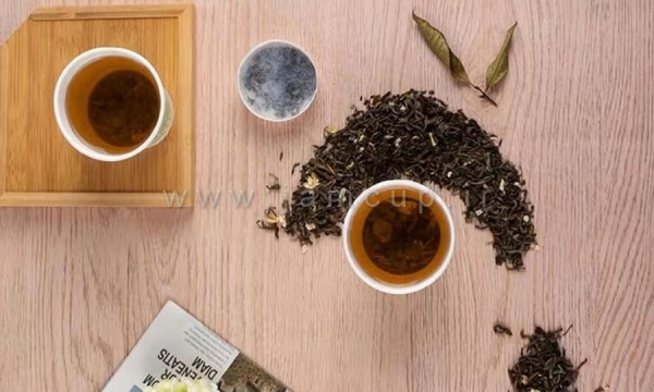 فروش لیوان کاغذی دمنوش دار