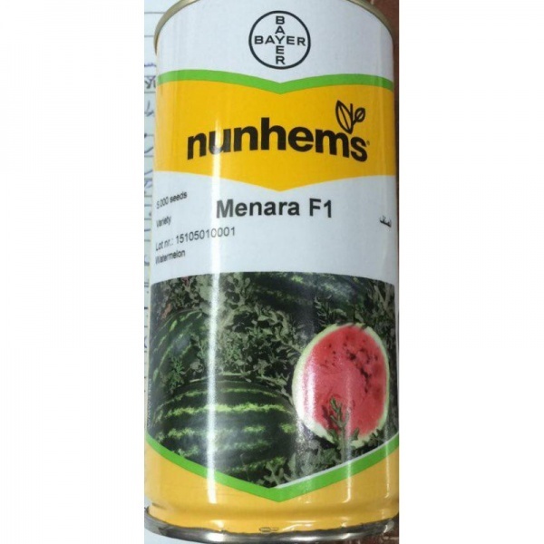 قیمت بذر هندوانه منارا (کریمسون سوئیت )
