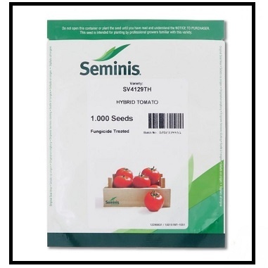 فروش  بذر گوجه گلخانه ای 4129 سیمینس