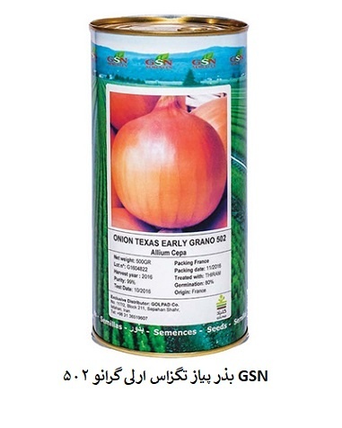 فروش بذر پیاز تگزاس ارلی گرانو 502 GSN ، درجه1