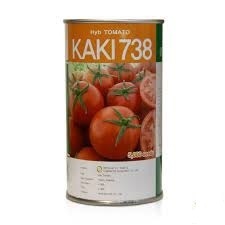 فروش بذر گوجه فرنگی کاکی 628