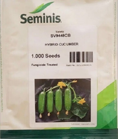 بذر خیار 9448 بذر خیار 9448