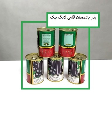 فروش بذر بادمجان لانگ بلک ProSeed هلند