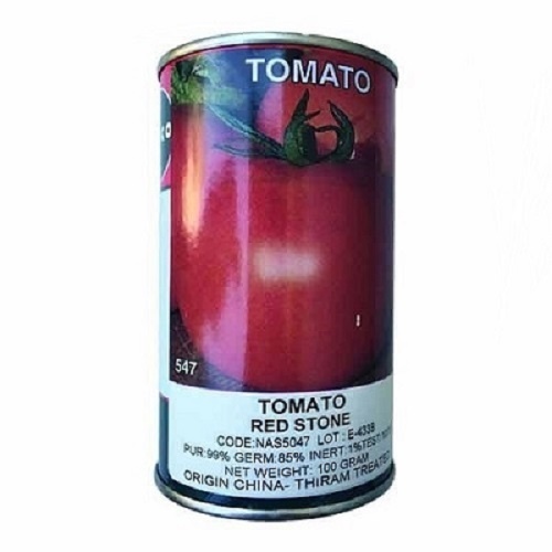 پخش و فروش بذر گوجه رد استون ناسکو