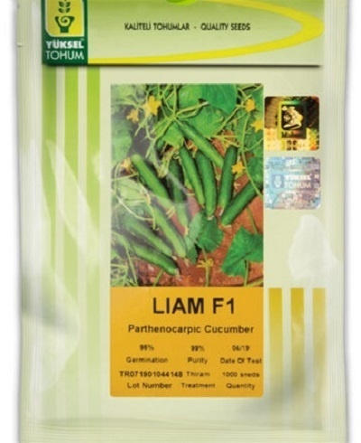 فروش بذر خیار لیام فروش بذر خیار لیام