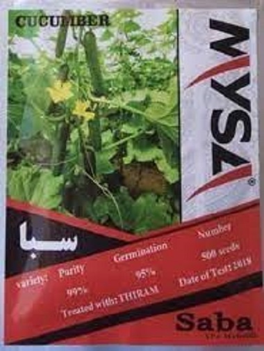 فروش بذر خیارگلخانه ای سبا