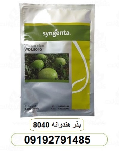 بذر هندوانه 8040 •