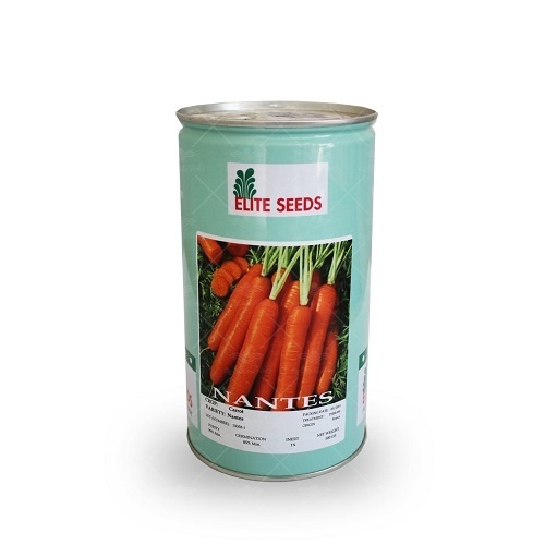 توزیع و فروش بذر هویج الیت سیدز