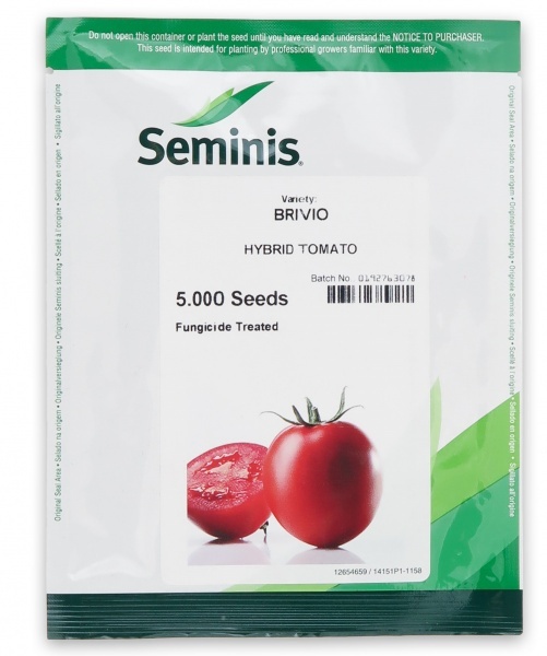 فروش بذر گوجه فرنگی بریویو سمینیس