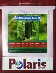 بذر خیار گلخانه ای زئوس پلاریس - فروش و ارسال