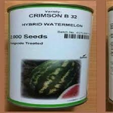 فروش بذر هندوانه  بی 32