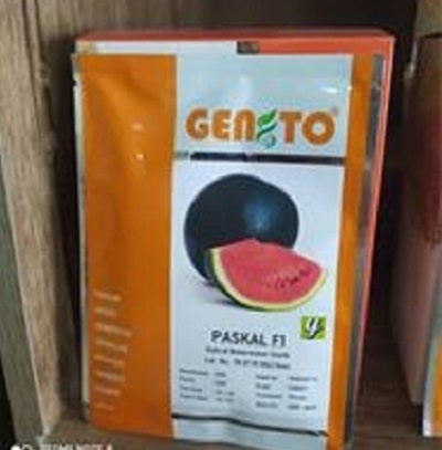 قیمت بذر هندوانه پاسکال (زود رس )