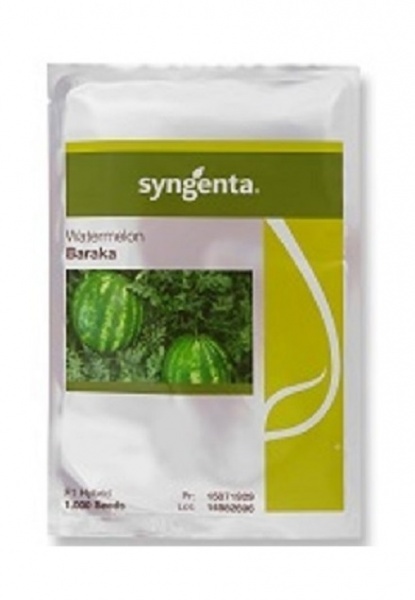 بذر هندوانه باراکا سینجنتا