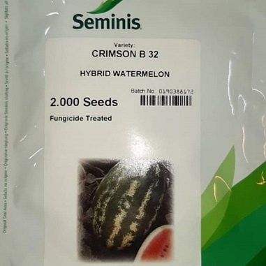فروش بذر هندوانه کریمسون B32 سمینیس