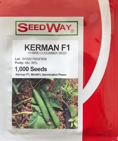 قیمت بذر خیار کرمان سید وی قیمت بذر خیار کرمان سید وی
