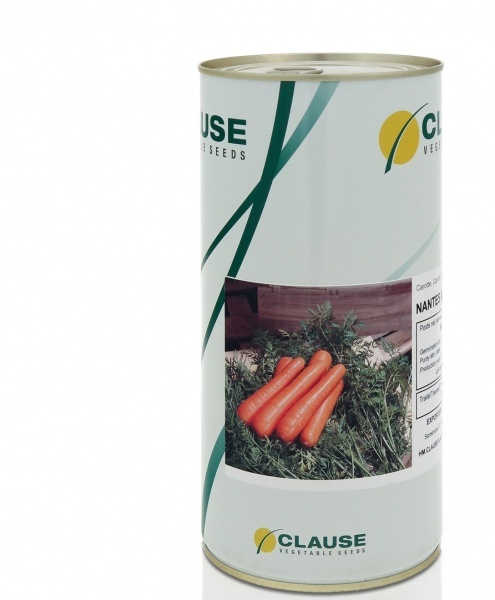 فروش بذر هویج سنتورین کلوز