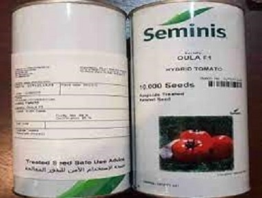 پخش و فروش بذر گوجه فرنگی اولا سمینیس