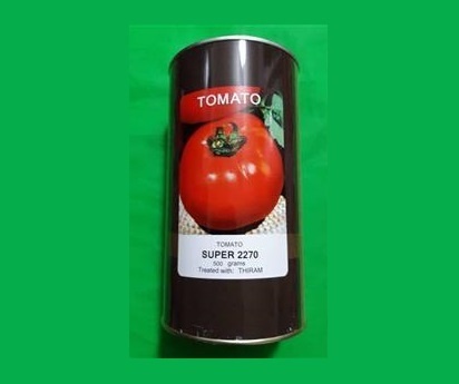فروش بذر گوجه سوپر 2270 CANYON