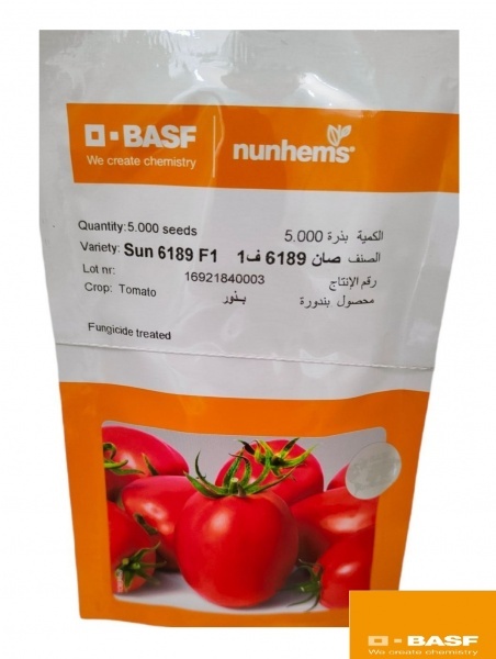 بذر گوجه فرنگی 6189 سانسید باسف
