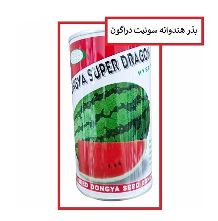 فروش بذر هندوانه سوئیت دراگون