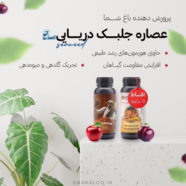 جلبک دریایی - کود مایع جلبک دریایی