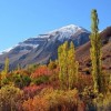 تور یک روزه شهرستانک