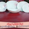 قیمت ظروف آرکوپال